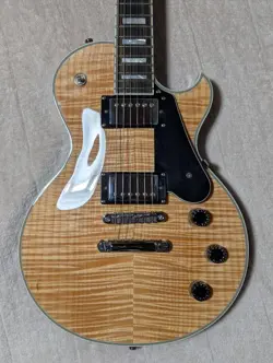 CUSTOM GNAT ELECTRIC