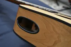 GIBSON G-BIRD