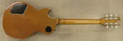 PLUS ELECTRIC GUITAR