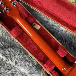 SUNBURST W/HARD CASE