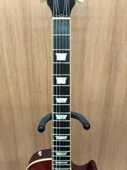 BY GIBSON LPS