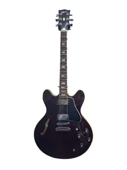 ES-335TD WALNUT RED