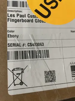 ELECTRIC GUITAR EBONY