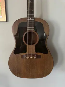 DOUBLE PICKGUARD NATURAL