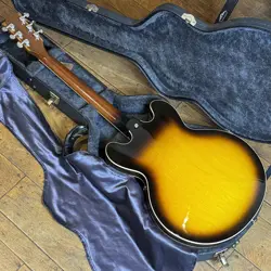 2007 SEMI-HOLLOW