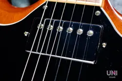 SG STANDARD 2011