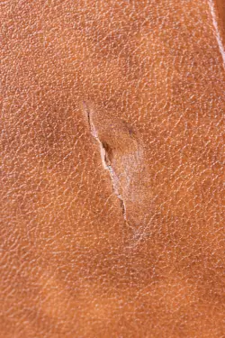 ORIGINAL HARDSHELL