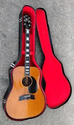ACOUSTIC GUITAR W/OHSC!