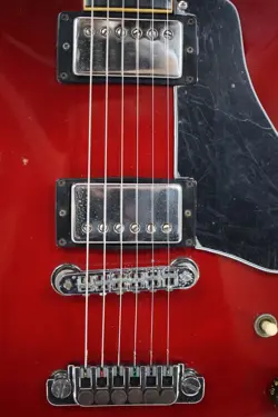 LUCILLE 1981 SIGNATURE