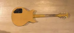 PAUL JR SPECIAL