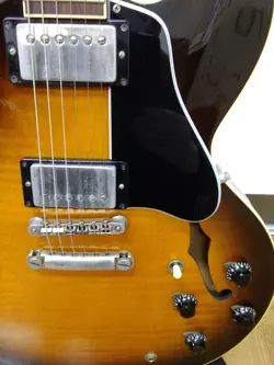 HOLLOW BODY ELECTRIC