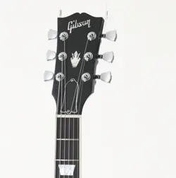 SG MODERN