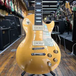 P90 PICKUPS CASE