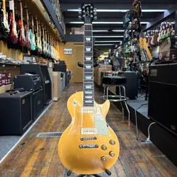 PAUL DELUXE ELECTRIC