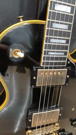PAUL CUSTOM VOS