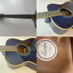 GIBSON MARTIN