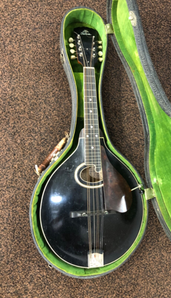 ACOUSTIC GUITAR LOOK