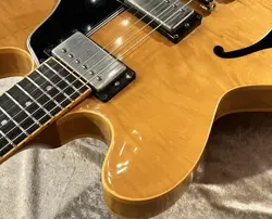 NATURAL 1993
