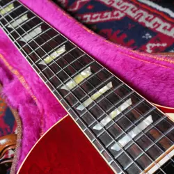 SUNBURST NO.DG872