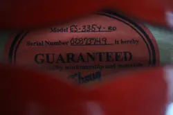 ES-335Y NO.DG1871