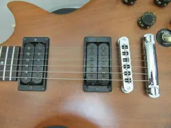 GIBSON THE PAUL NO.DG1901