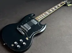 2016 NO.DG1579