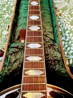 WALNUT CUSTOM