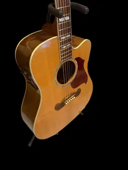 SONGWRITER DELUXE STUDIO