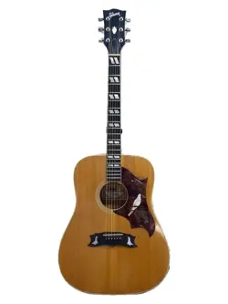 CUSTOM/ACOUSTIC