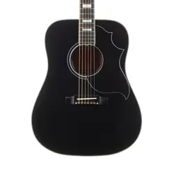 CUSTOM HUMMINGBIRD CUSTOM