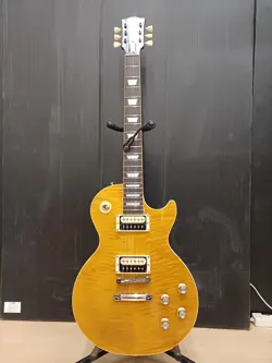 GIBSON USA / SLASH LES PAUL STANDARD (NO250502)
