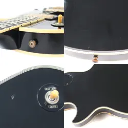 PAUL BLACK BEAUTY