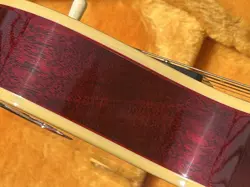PAUL VINTAGE GLOSS