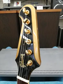 FIREBIRD 50TH ANNIVERSARY