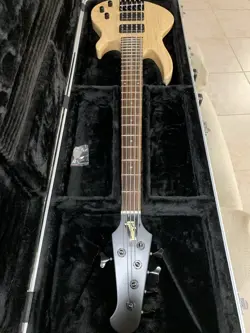 5-STRING BASS GUITAR