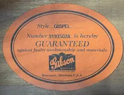 MODEL ACOUSTIC/ELECTRIC GUITAR
