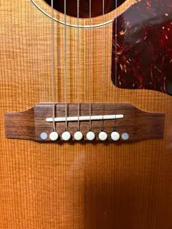 GIBSON J-50 SAFE