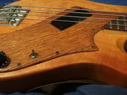 GIBSON VICTORY STANDARD