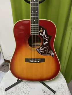 HUMMINGBIRD ECO ACOUSTIC