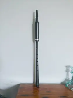 R101R
