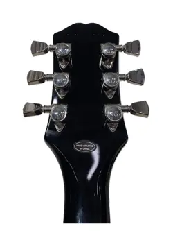 INSPIRED BY GIBSON/SG
