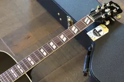 HUMMINGBIRD PRO ACOUSTIC/