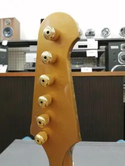 50TH ANNIVERSARY ELECTRIC