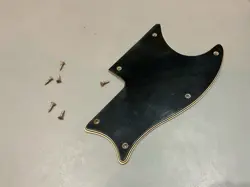 EB-3 1973 PICKGUARD