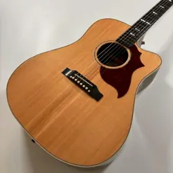 GIBSON /HUMMINGBIRD