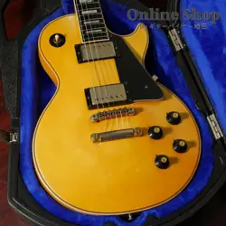 GIBSON EXPLANATION TEST