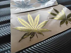 FENDER GIBSON GUITAR