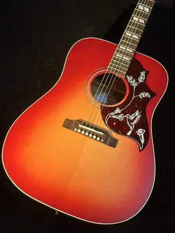 NEW HUMMINGBIRD SPECIAL
