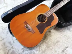 12 STRING GUITAR
