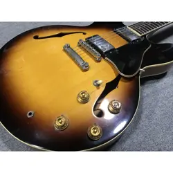 IN 1993 SUNBURST